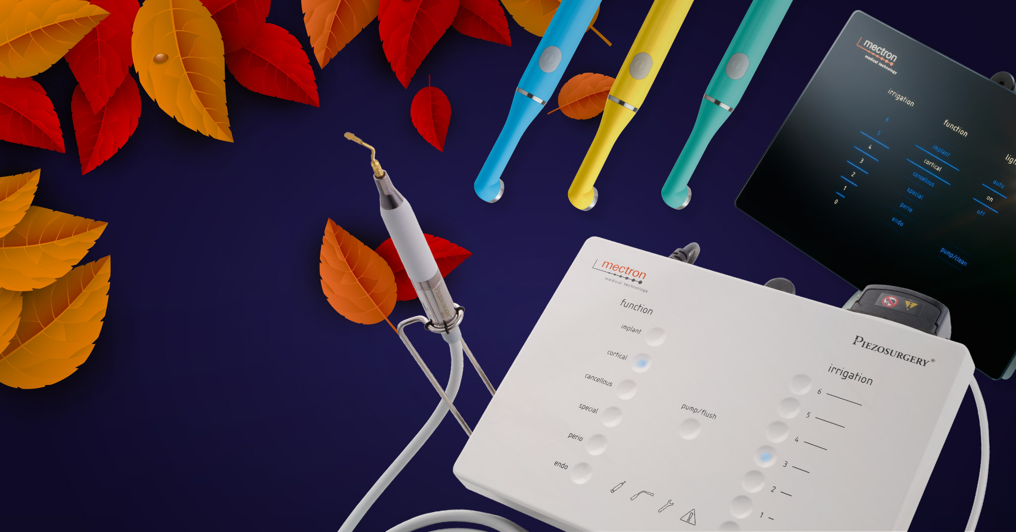 banner-autunno-sfondo_3.jpg-.jpg